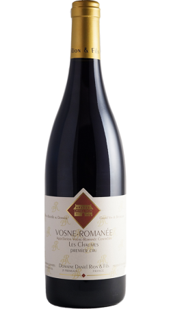 Domaine Daniel Rion Vosne-Romanée 1er Cru Les Chaumes 2017 Rouge