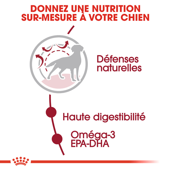 Croquettes chien de taille moyenne Medium Adult 4kg