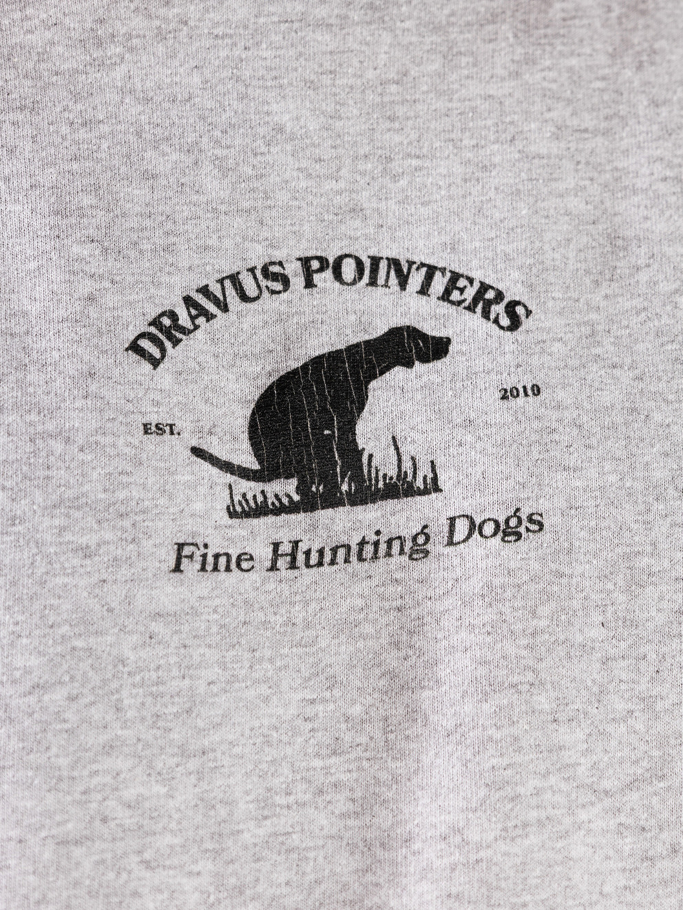Dravus Dog Gon It T-Shirt vintage grey