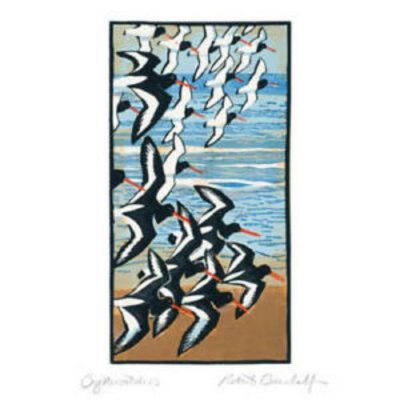 Oystercatchers Greeting Card