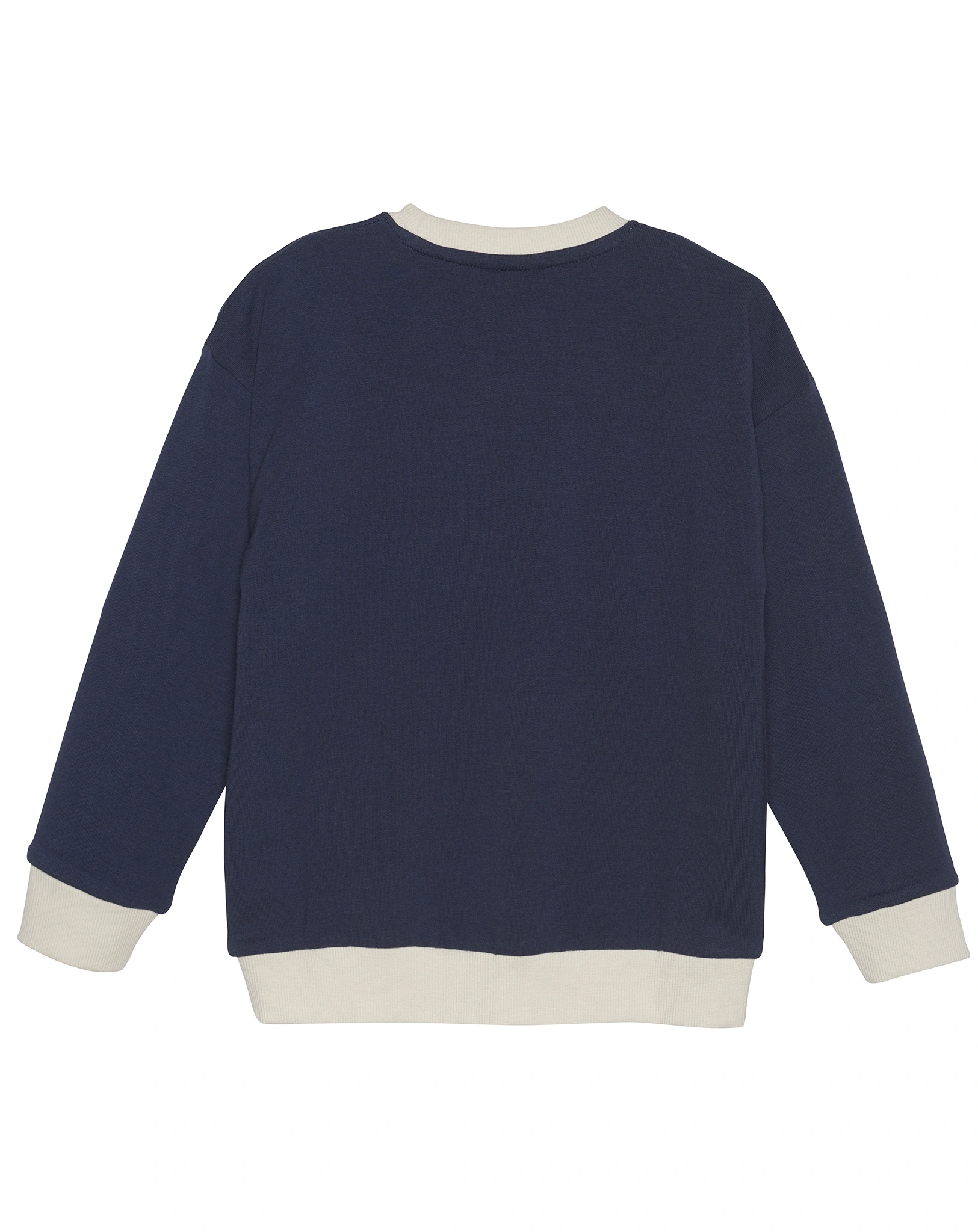 Sweatshirt CHECK TRAVEL in parisian night