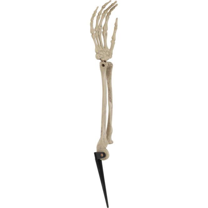 Skelett-Arm - ca. 37 x 9 x 5 cm