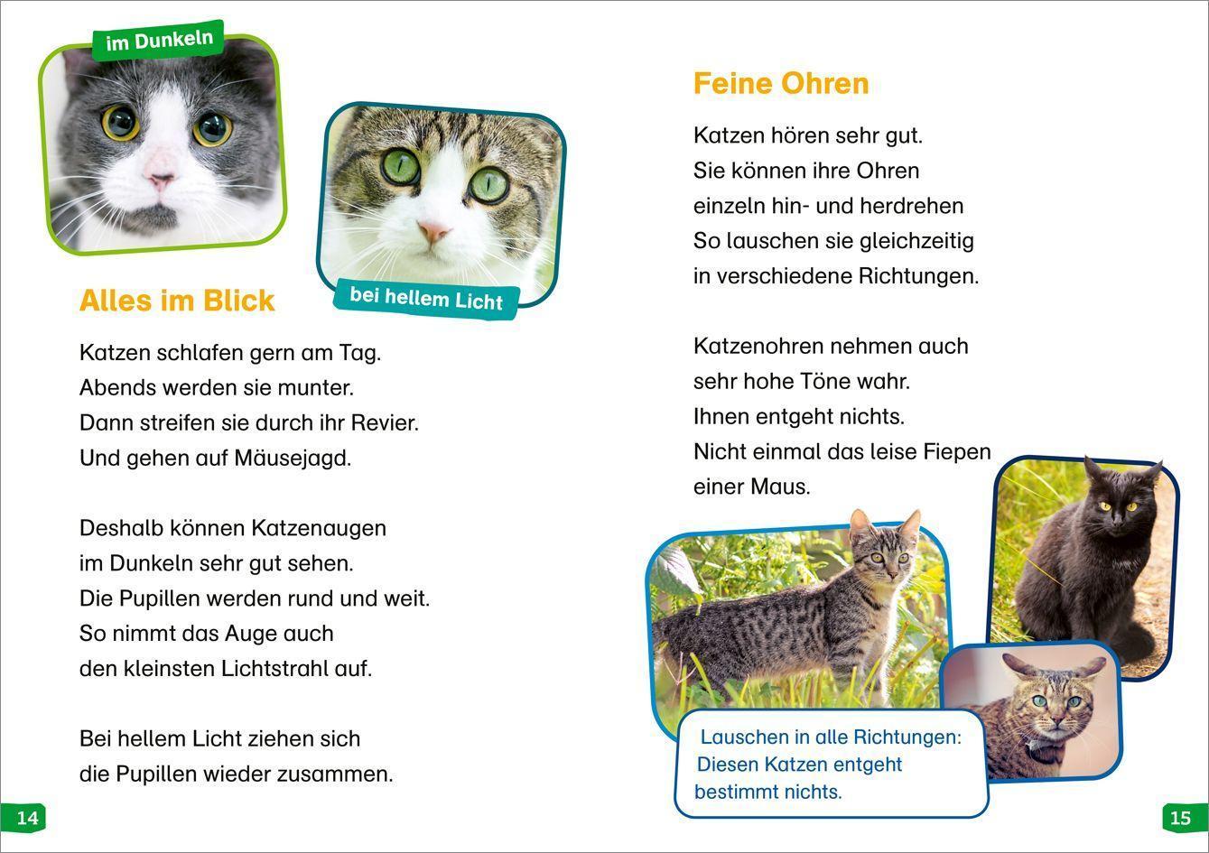 WAS IST WAS Erstes Lesen easy! / WAS IST WAS Erstes Lesen easy! Band 10. Katzen - meine Lieblingstiere