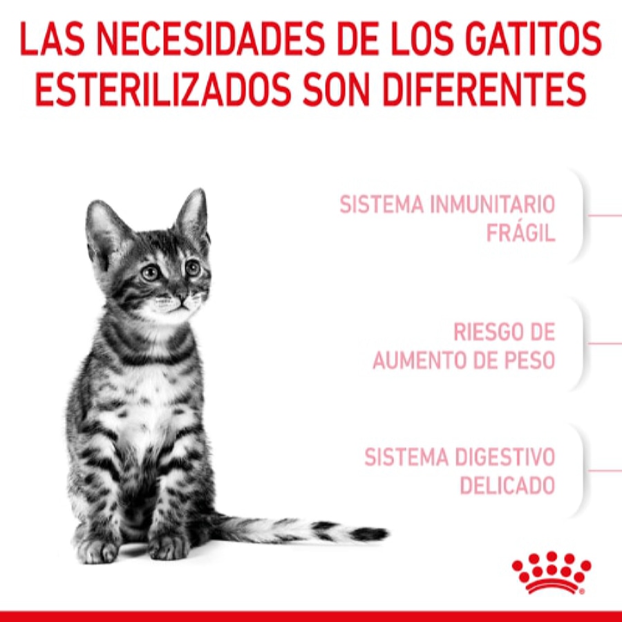 Ração esterilizada Royal Canin para gatinhos