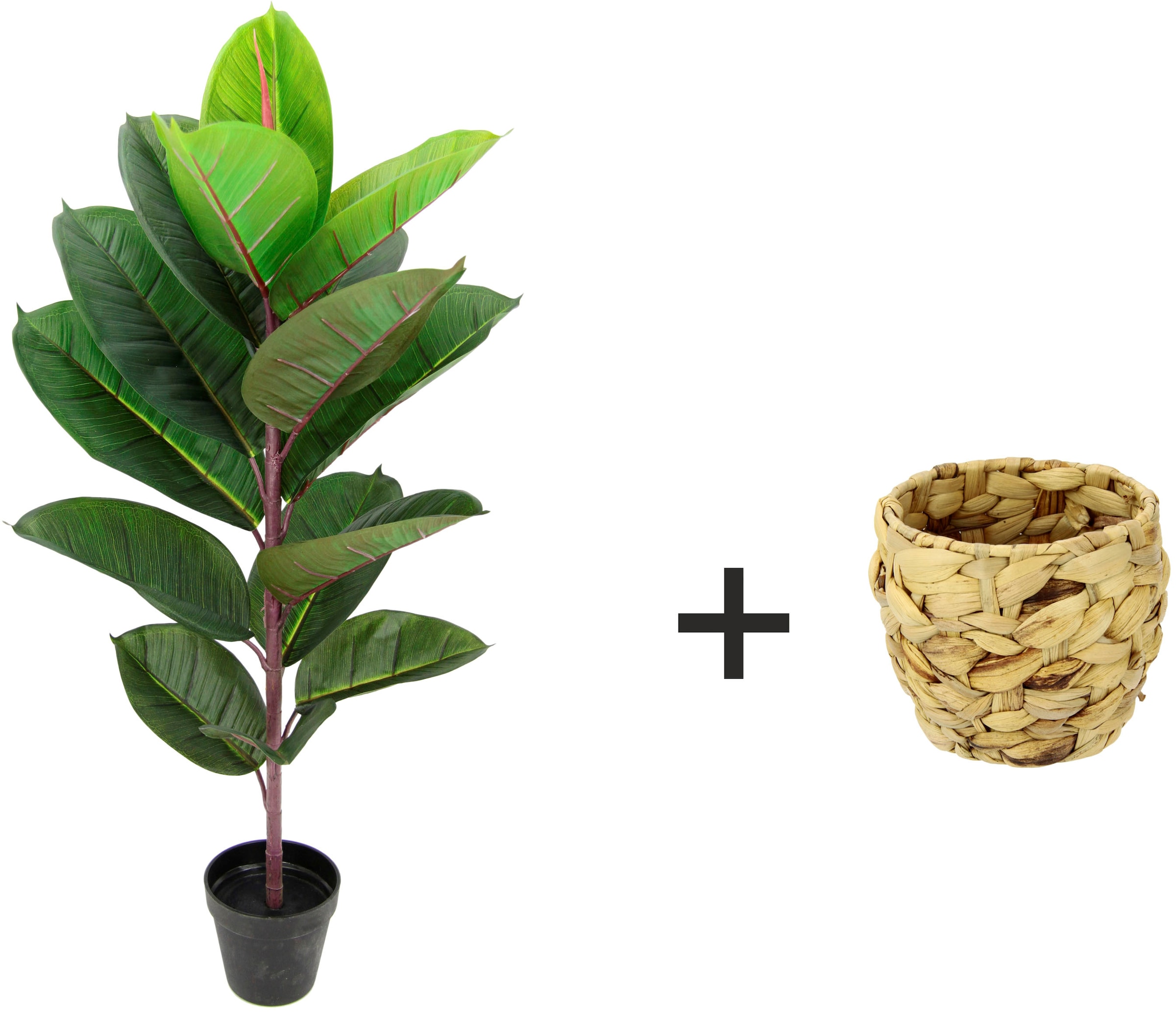 I.GE.A. Kunstbaum »Gummibaum« Mit Übertopf, Ficus Elastica