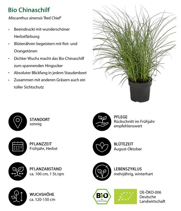 Bio Stauden-Set Großes Gräser-Beet,