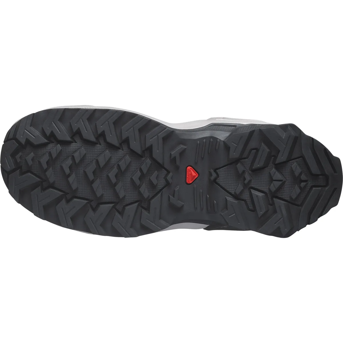 Salomon X Raise Gore-Tex Carbon / Ashes Of Roses / Clearly Aqua