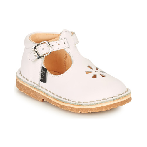 Aster - BIMBO - Blanc