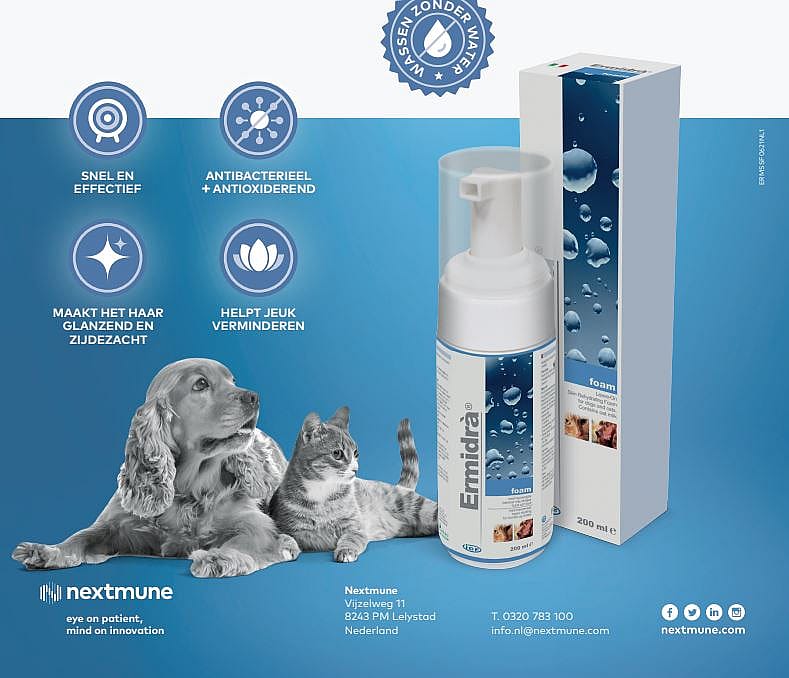 Ermidra Foam Droogshampoo Hond Kat | 12005