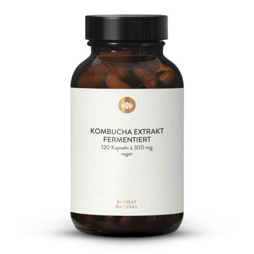 Sunday Natural Products  KombuchaExtrakt