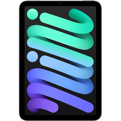 iPad Apple Mini 8,3