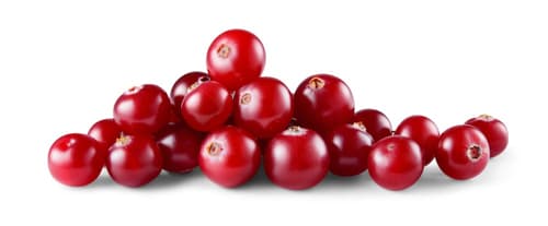 Cranberries, Beutel