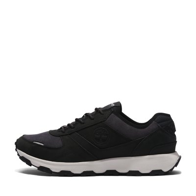 Sneakers homme Winsorrk TIMBERLAND
