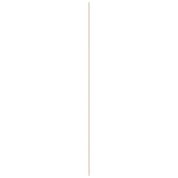 Decorlijst grenen 15x31 mm lengte 270 cm