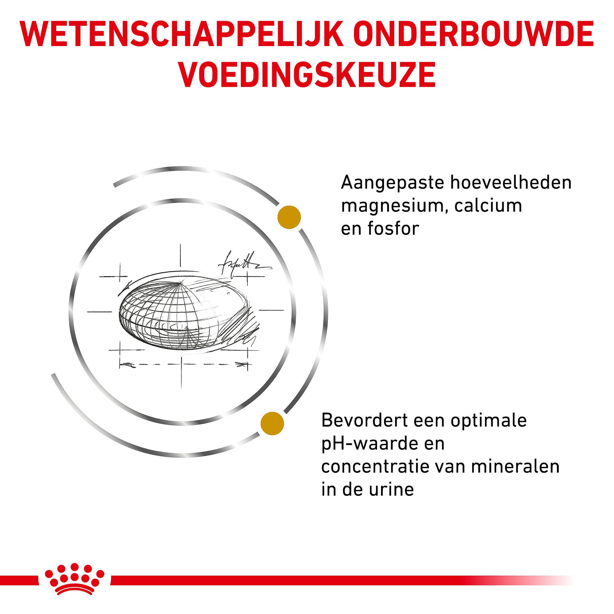 Royal Canin® Urinary S/O kattenvoer kopen | Dierapotheker.nl