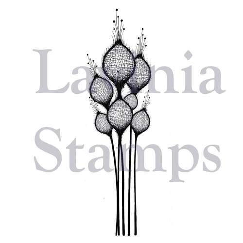 Lavinia Stempel, Fairy Thistles