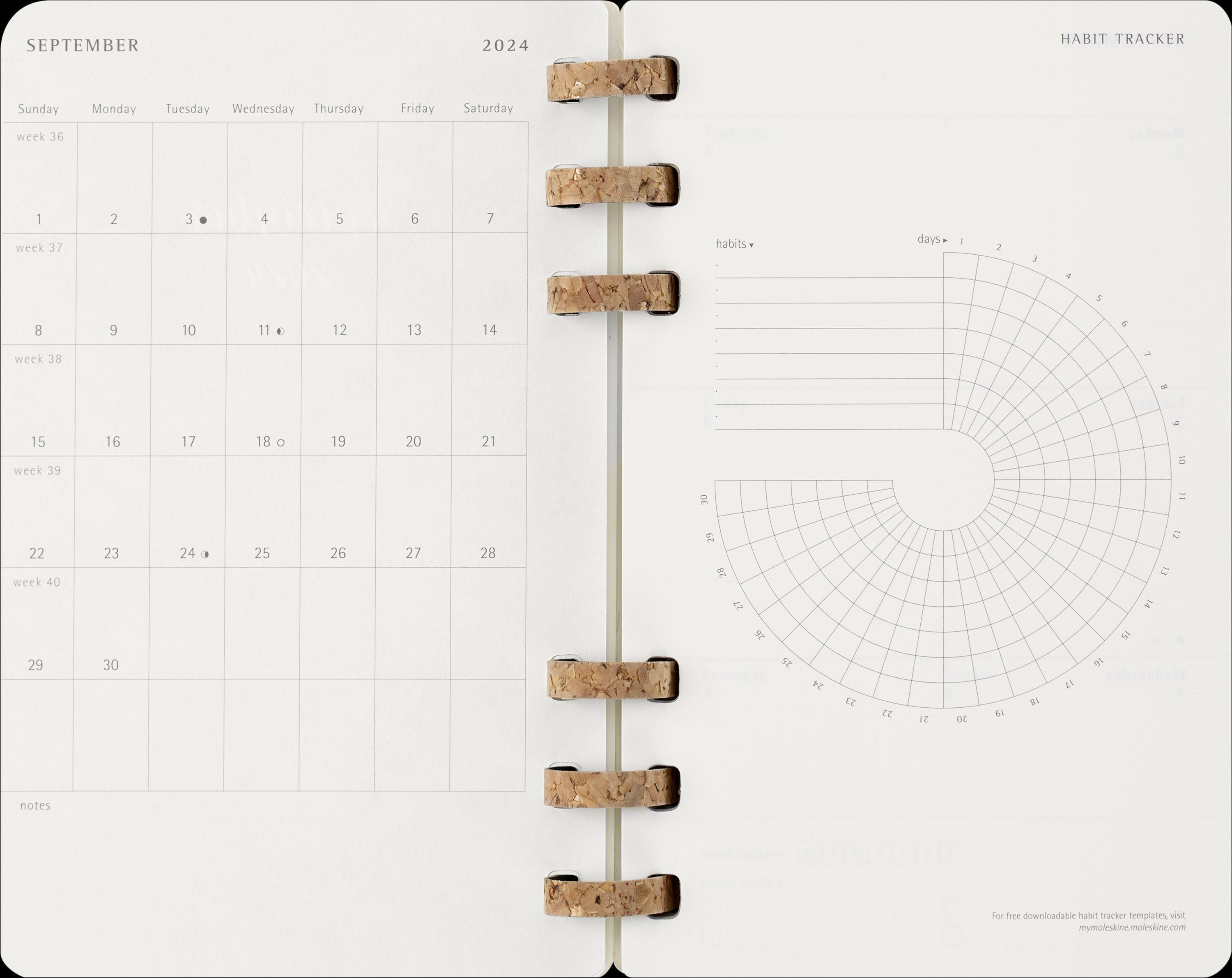 Moleskine 12 Monate Studienplaner mit Spiralbindung 2025, L/A5
