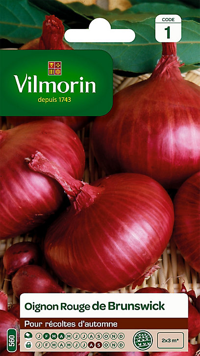 Graines d'Oignon Rouge de Brunswick Vilmorin