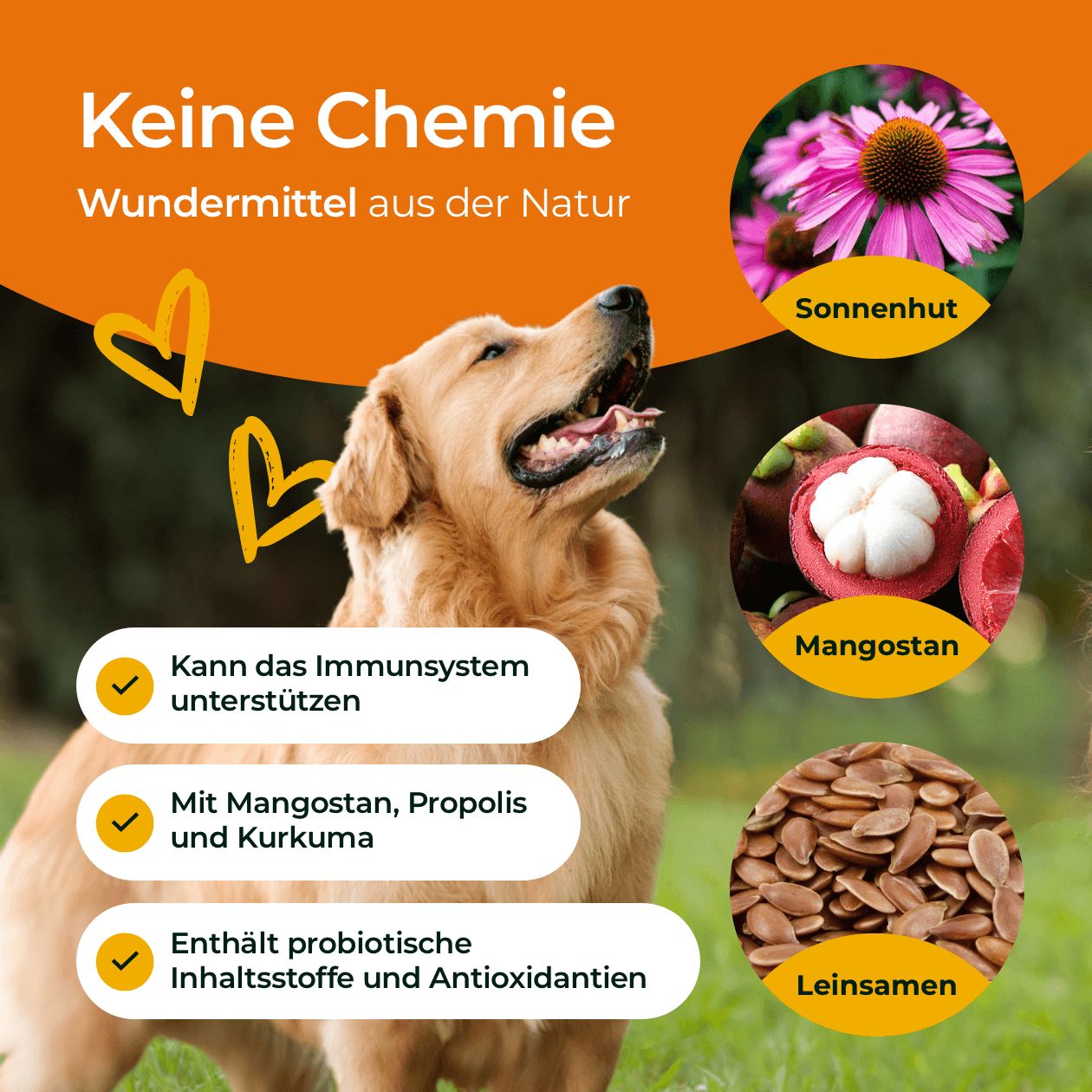 HUNDPUR® ALLER-IMMUN MIT ABWEHR-KOMPLEX