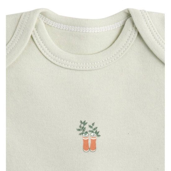 Botanica Lot de 3 bodies manches courtes   6 mois   de               Sauthon Baby Déco
