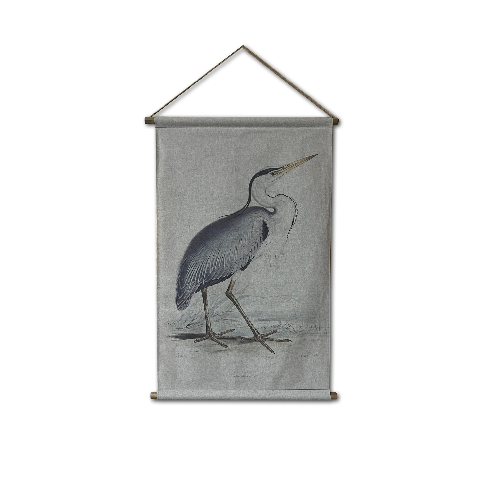 Rollbild 'Graureiher', natur, B 64 cm, H 95 cm, T 2,5 cm von fischer's lagerhaus