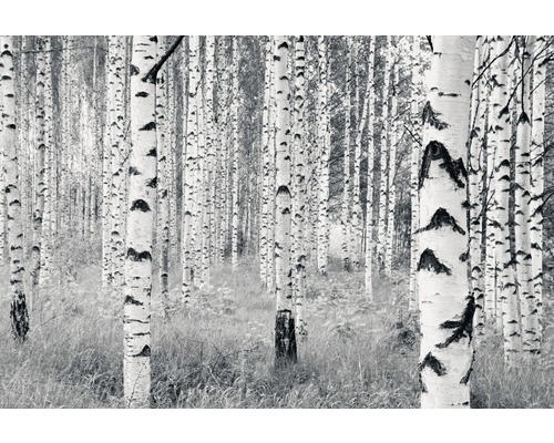 Vliesbehang V8-724 Woods, 8-delige set, 400 x 270 cm