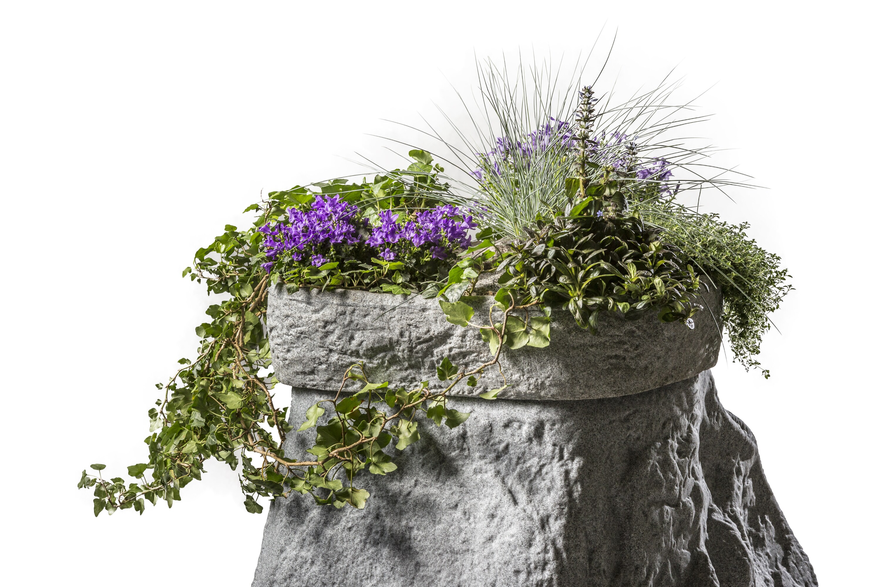 GreenLife Pflanzschale für den Dekor-Regenspeicher 