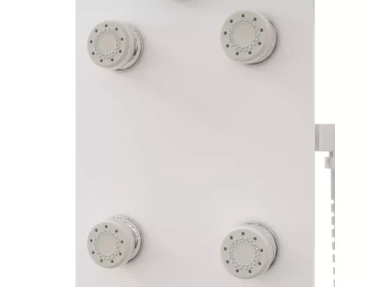 Panneau de douche pomme argenté 25 x 47.5 x 130 cm 02_0003436