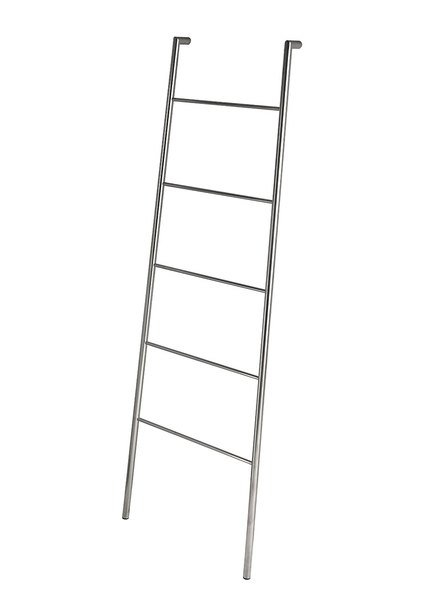 Sapho Industrial stalen ladder 55x170cm geborsteld rvs