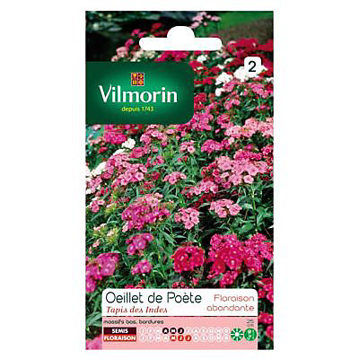 Graines d'Oeillet de Poète Tapis des Indes Vilmorin