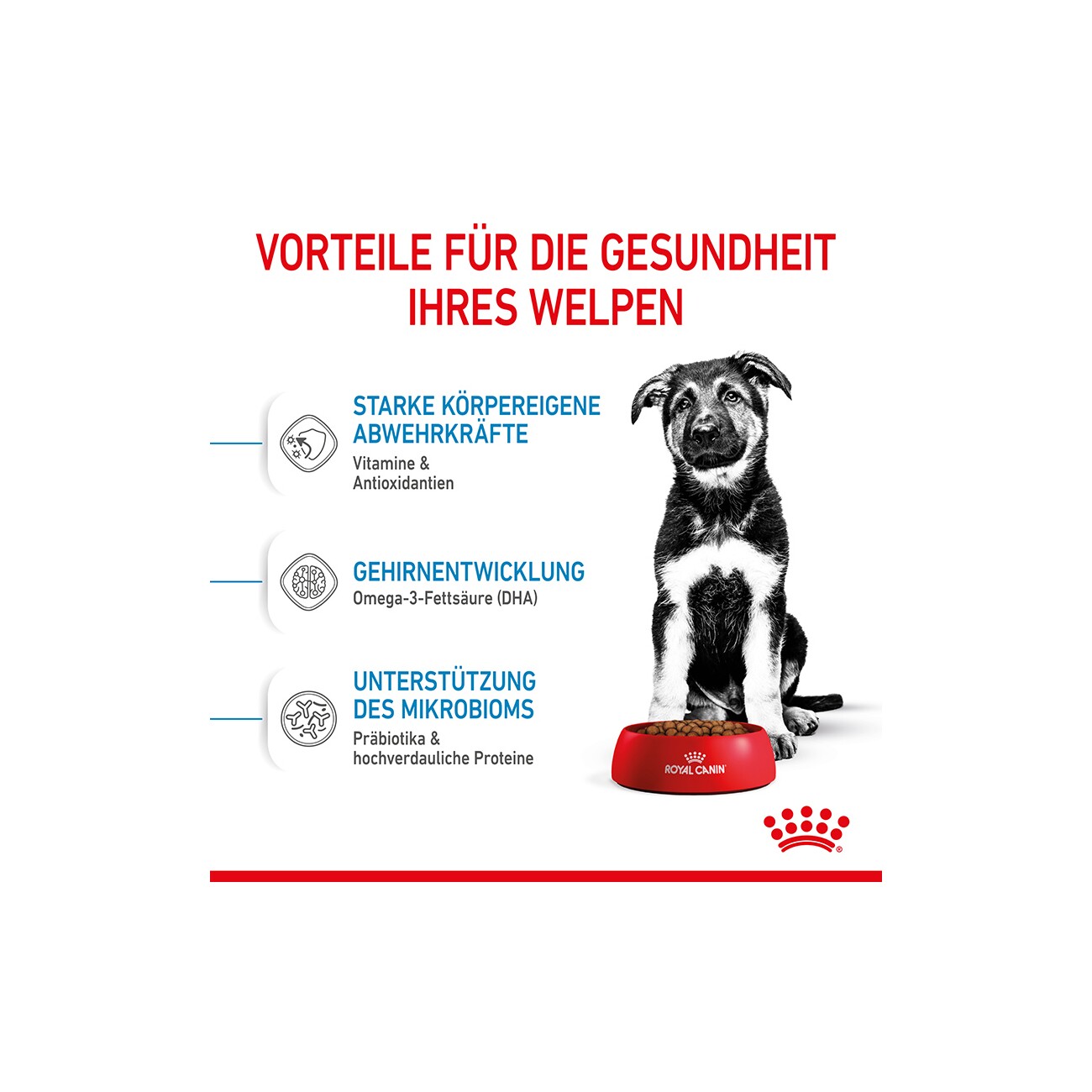 ROYAL CANIN Maxi Puppy 4 kg