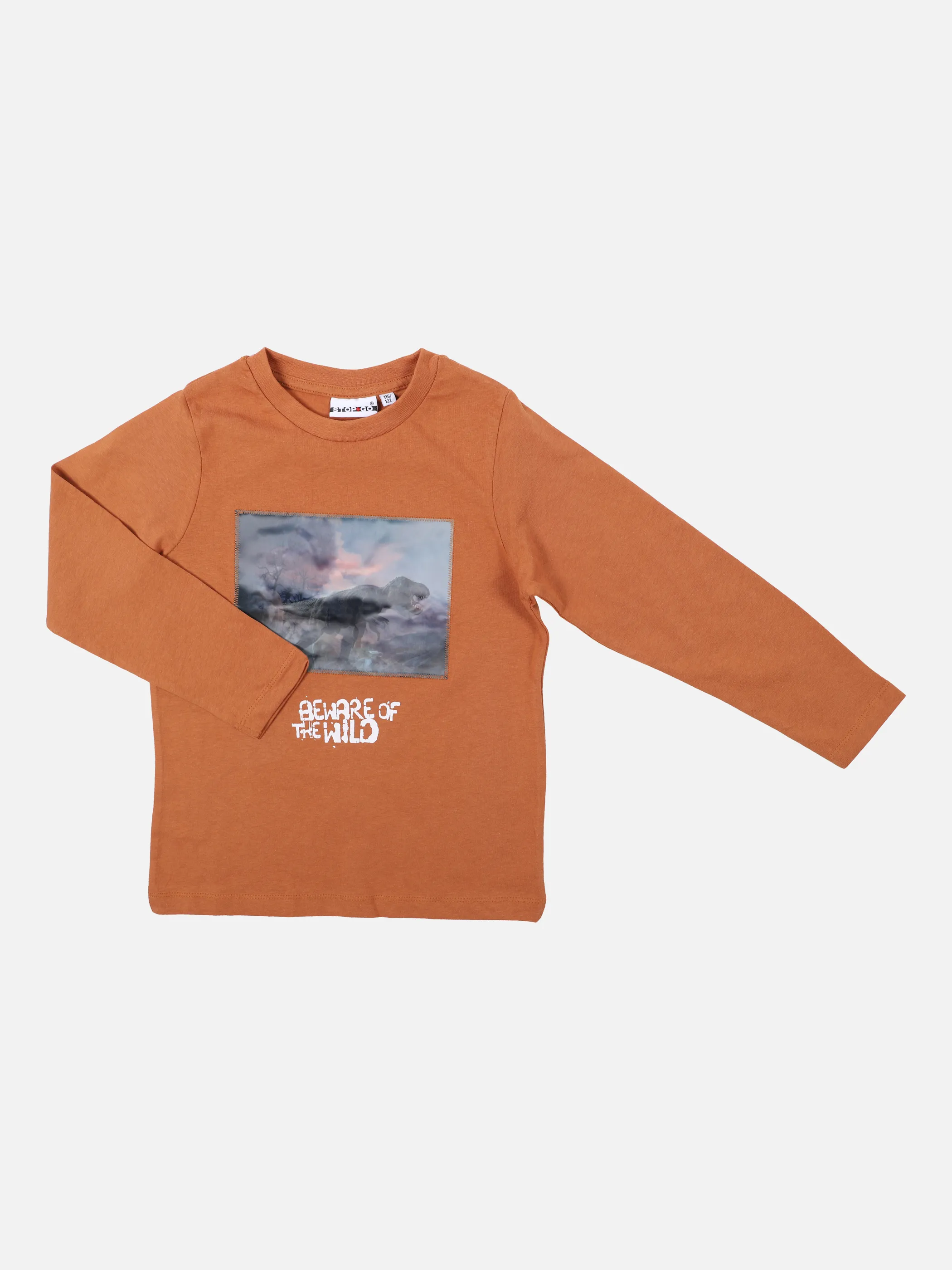 Jungen Langarm Shirt mit Dino Wackelbild