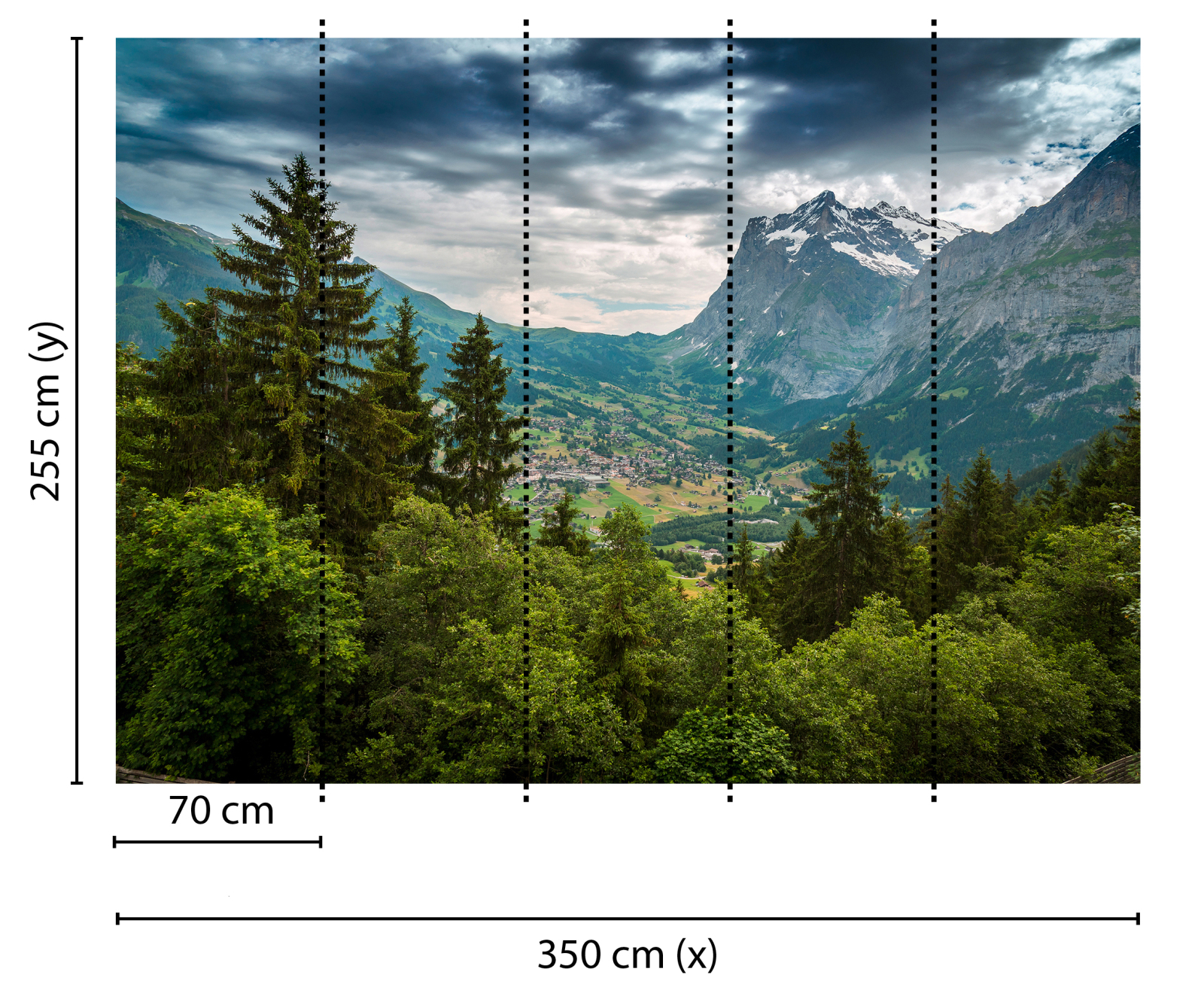 Fototapete DESIGNWALLS - grün-grau - Wald - 2,55 Meter