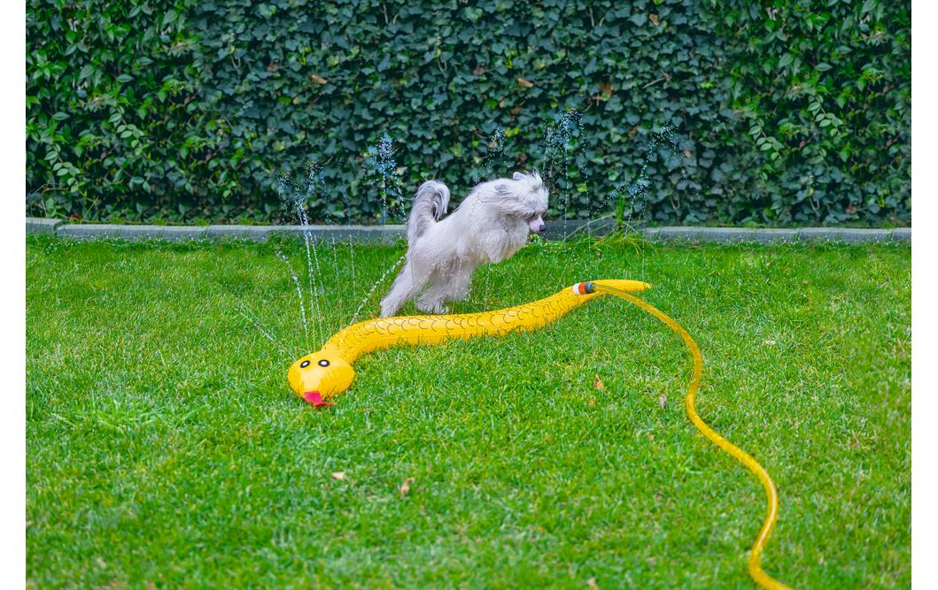 Splashy Schlange 150 cmErfrischende Abkühlung beim Spielen