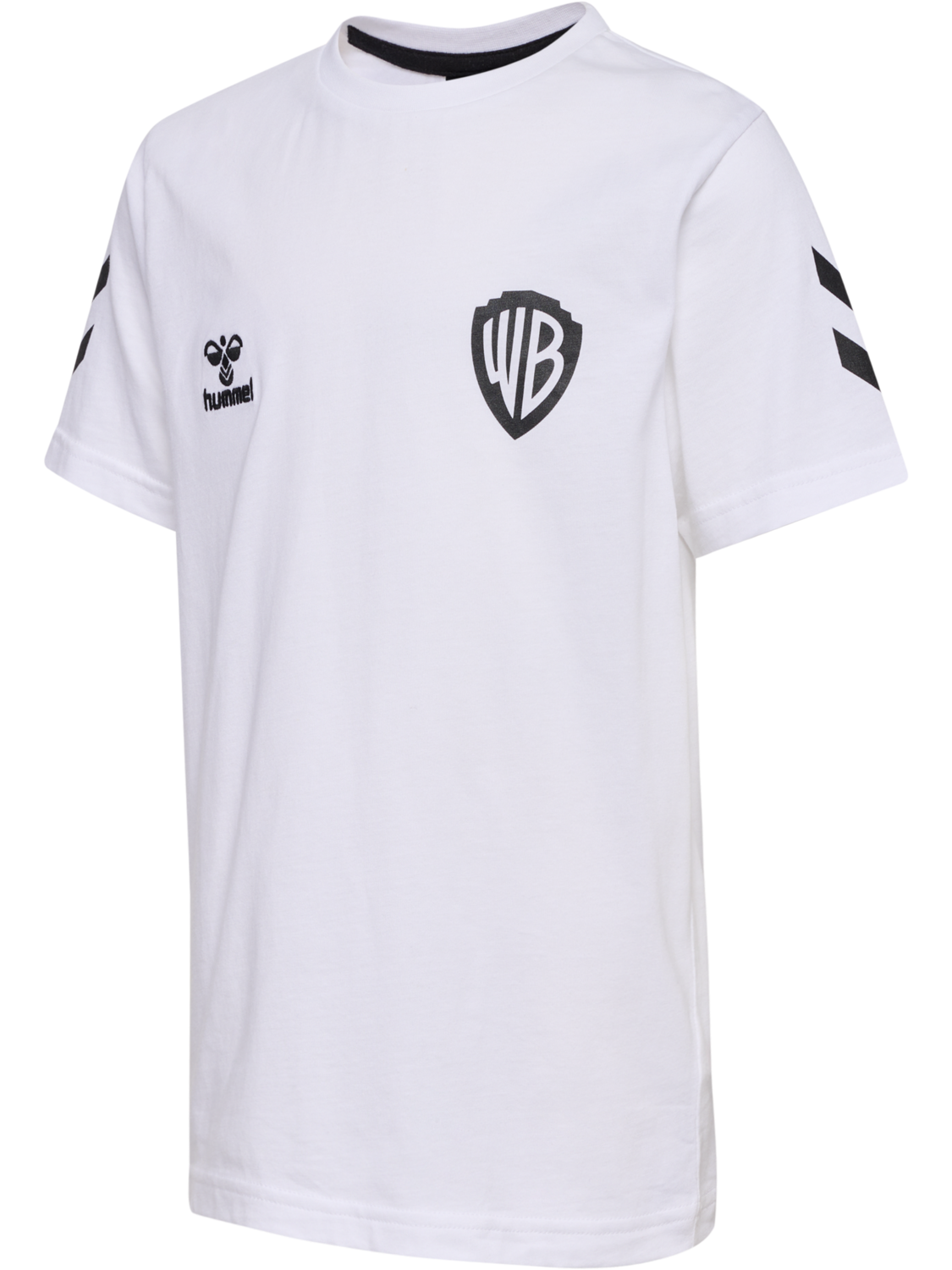 hmlCELEBRATING STORY T-SHIRT S/S