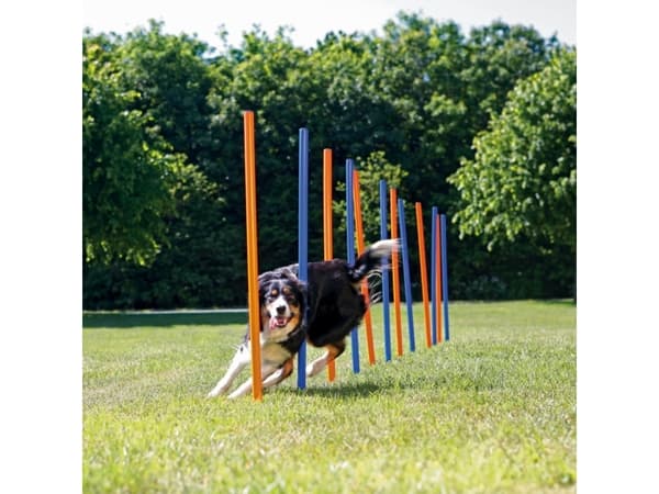 Trixie 12 Agility slalom pinde 115cm
