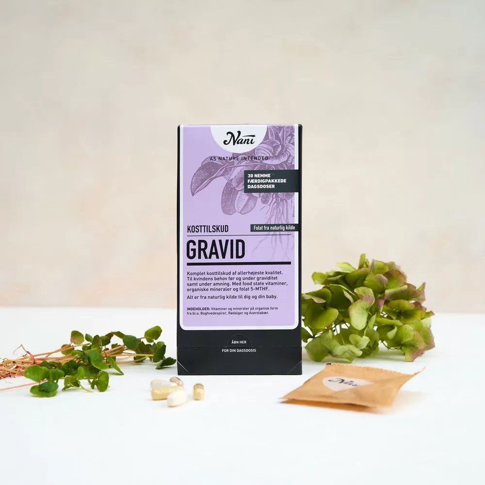 Nani Gravid - 30 breve