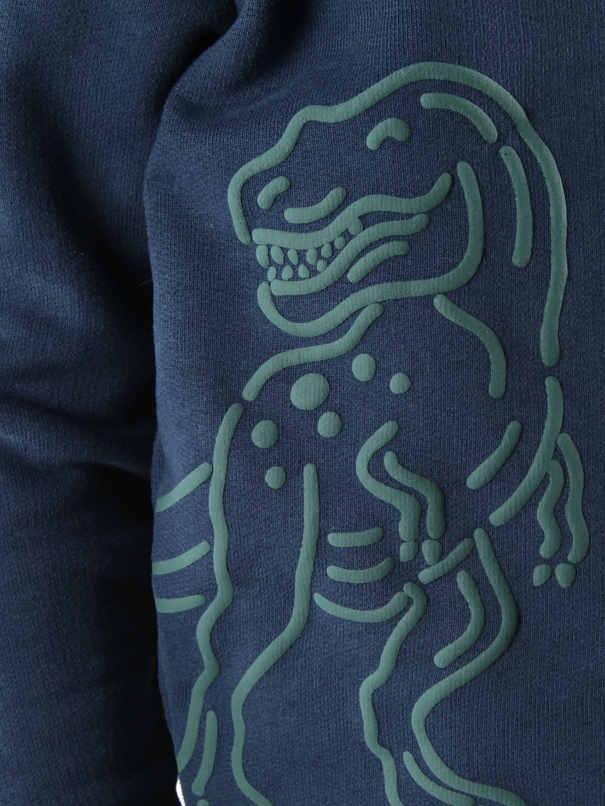 Jungen Sweatshirt mit Dino-Rubberprint