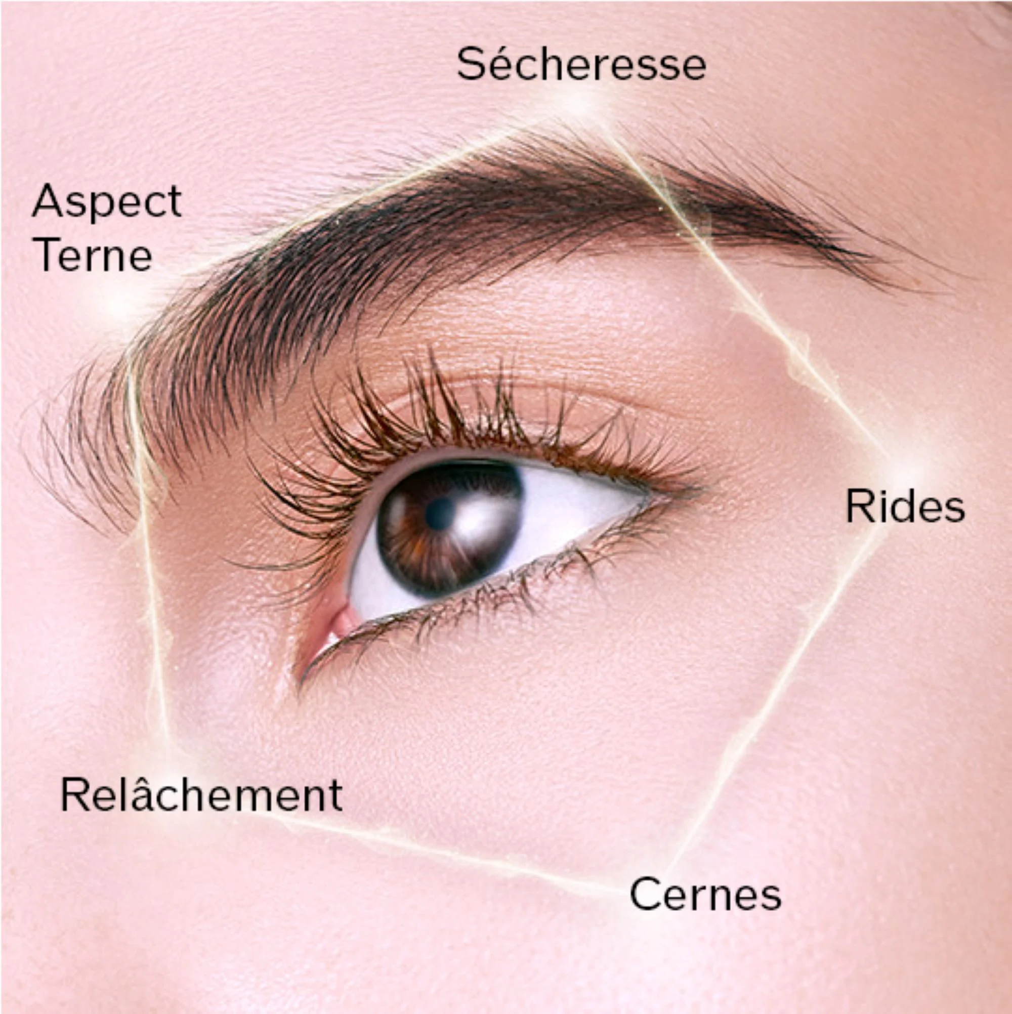 FUTURE SOLUTION LX Enmei Crème Yeux Ultime |