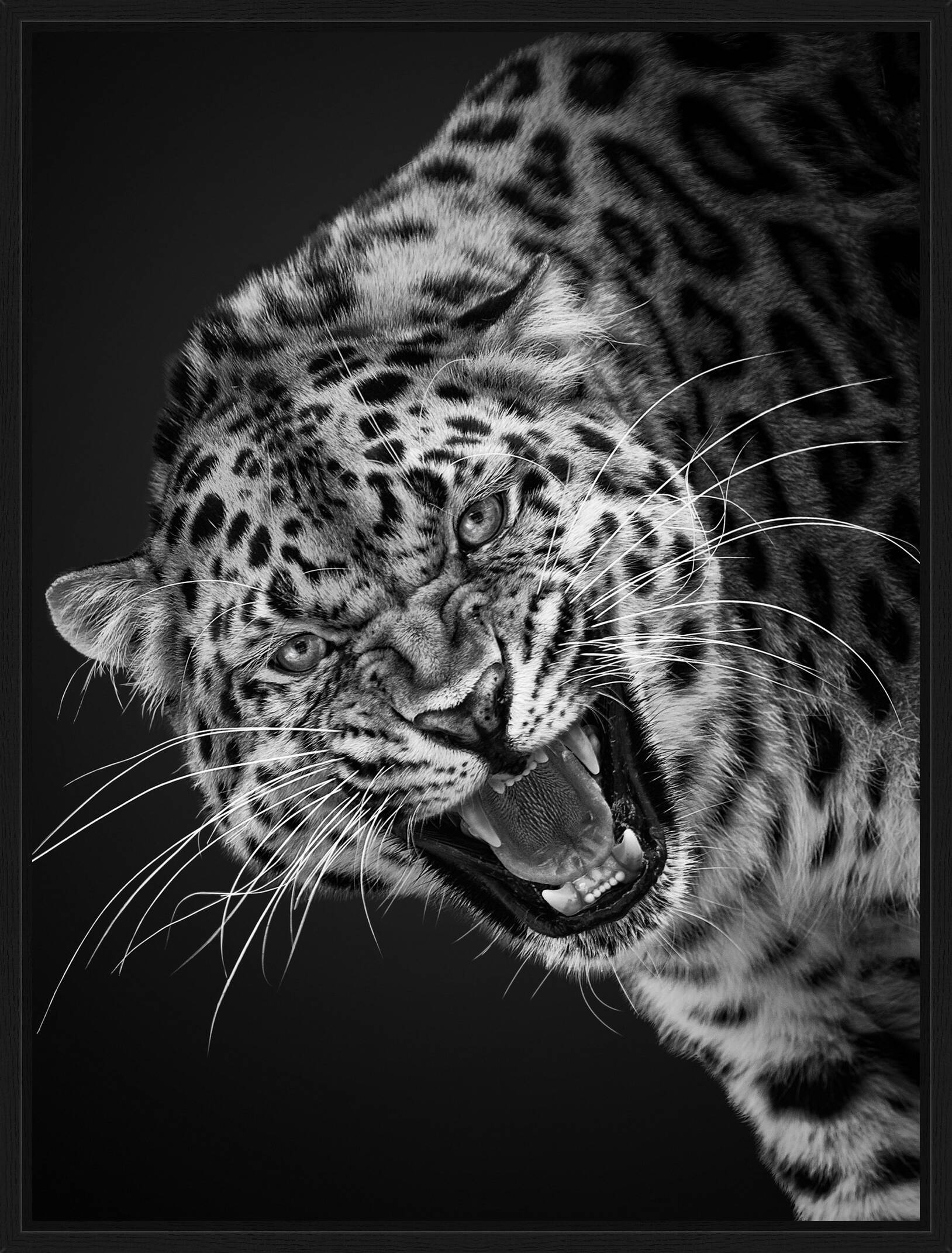Leopard II by Mikhail Kirakosyan - Limited Edition. Edition of: 150. Signed.