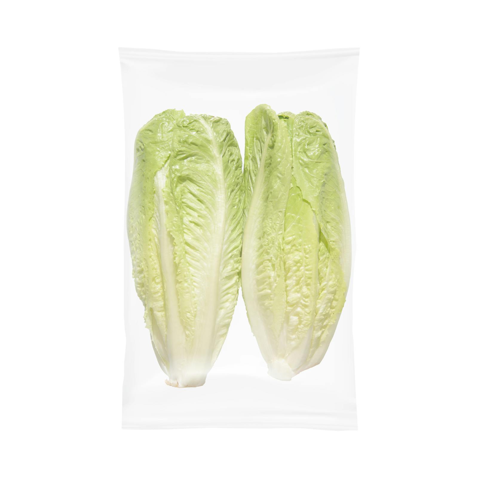 Laitue romaine coeur