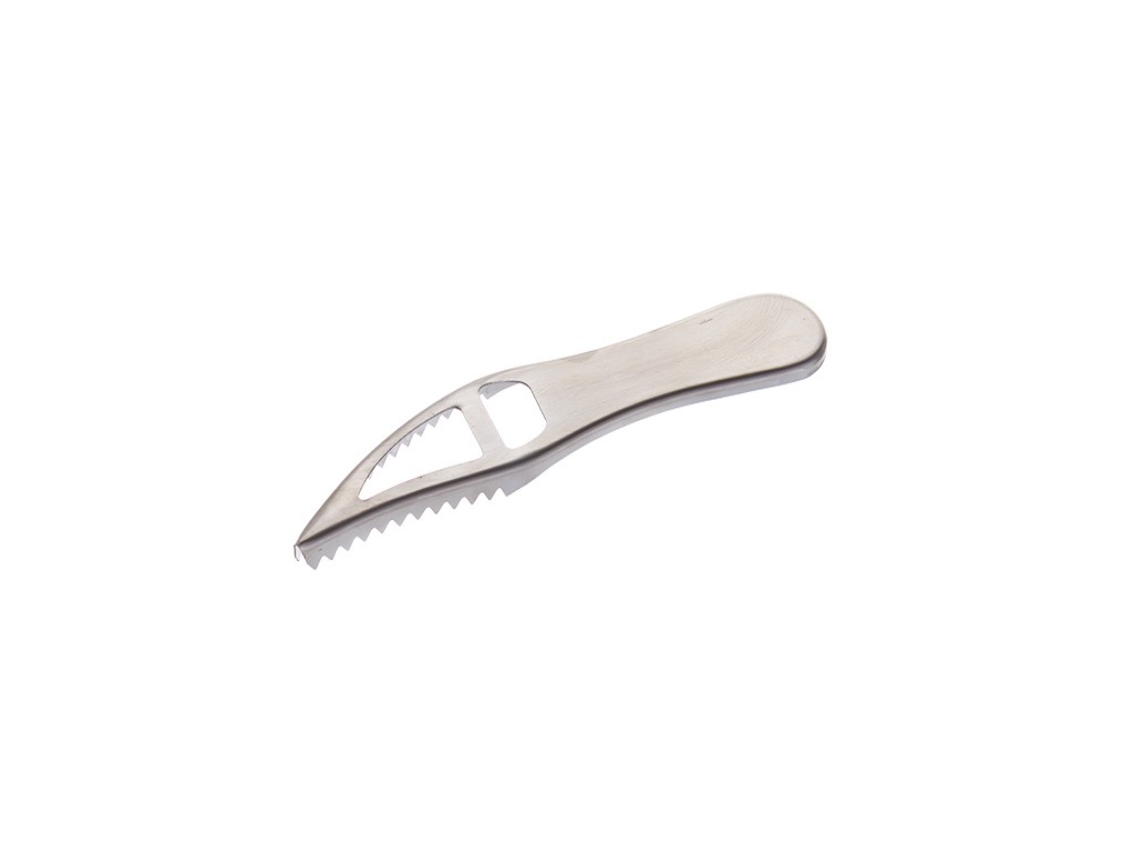 ESCAMADOR PEIXE INOX 19.2CM