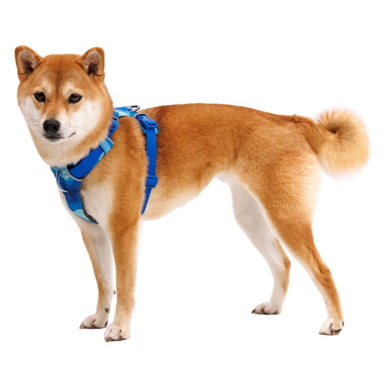 Harnais Ruffwear Front Range, bleu foncé