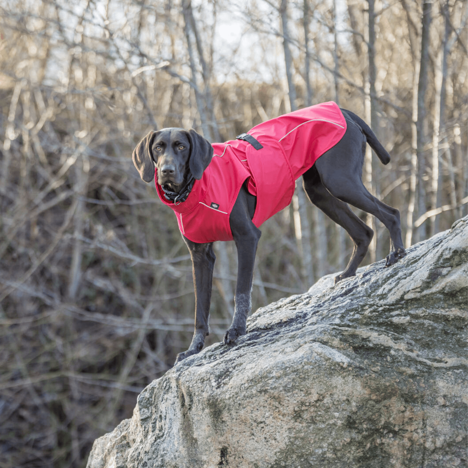 Trixie Regenjas Vimy