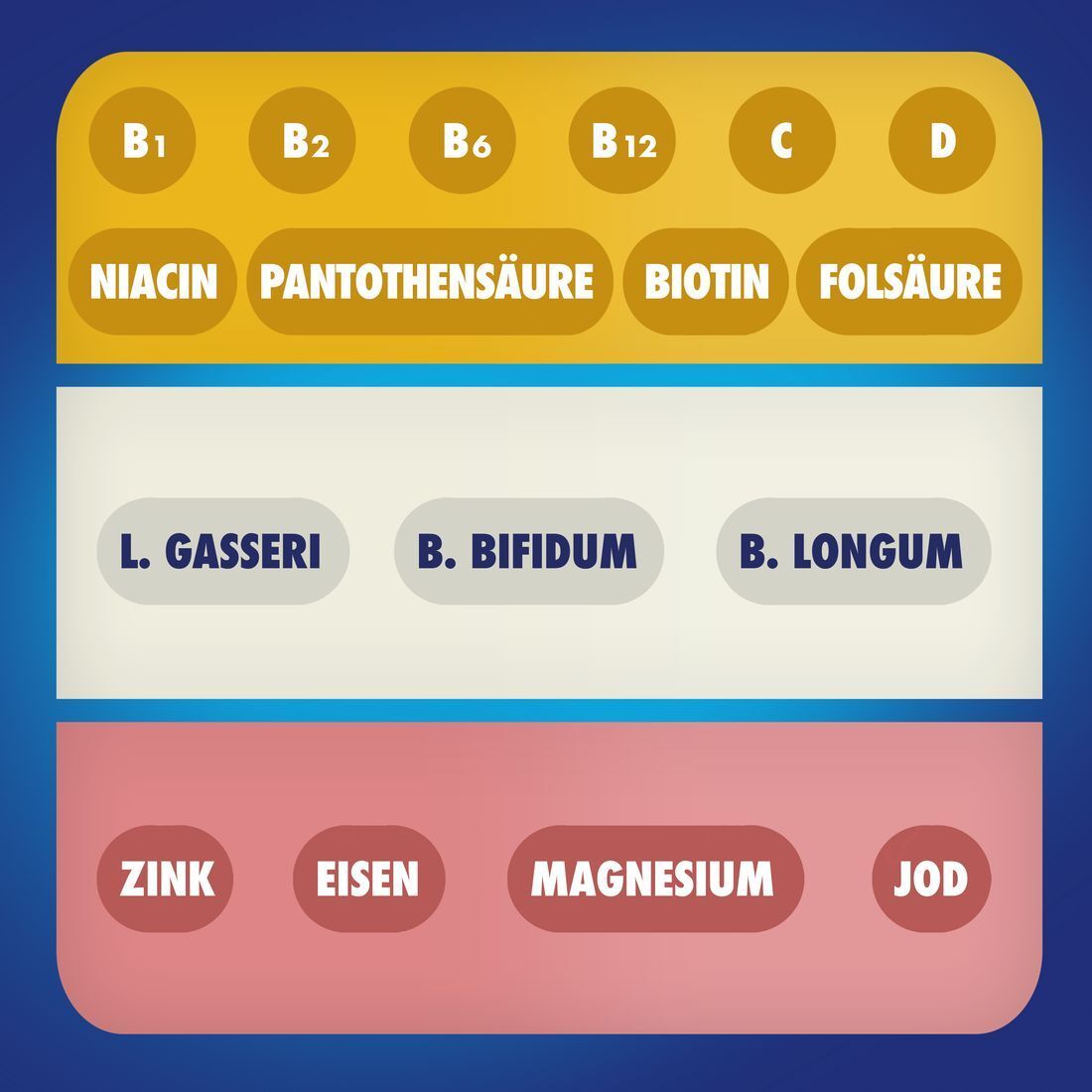 Bion® 3 Energy