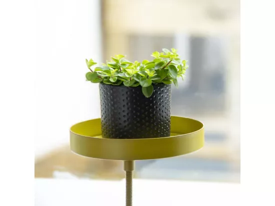 Support à plantes rond à fixer hauteur réglable doré 20.9 x 14 cm