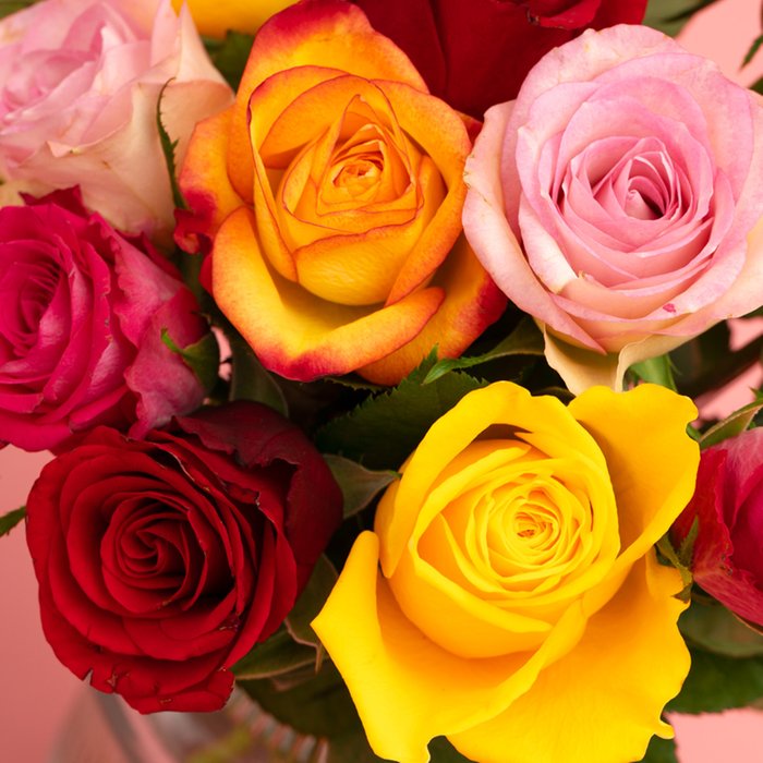 Brievenbusbloemen | Rozen | Kleurenmix