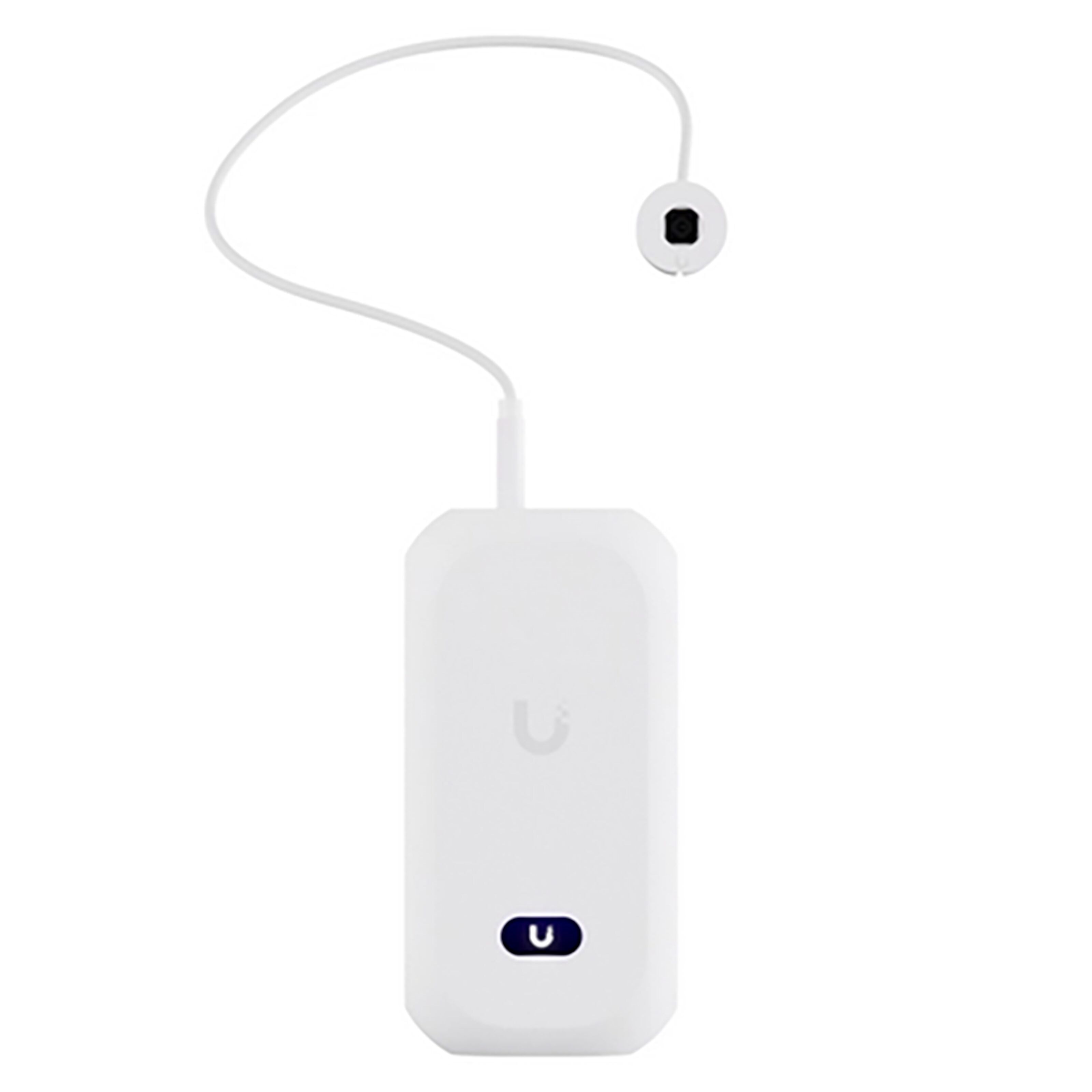 Ubiquiti AI Theta Professional Overvåkingskamera
