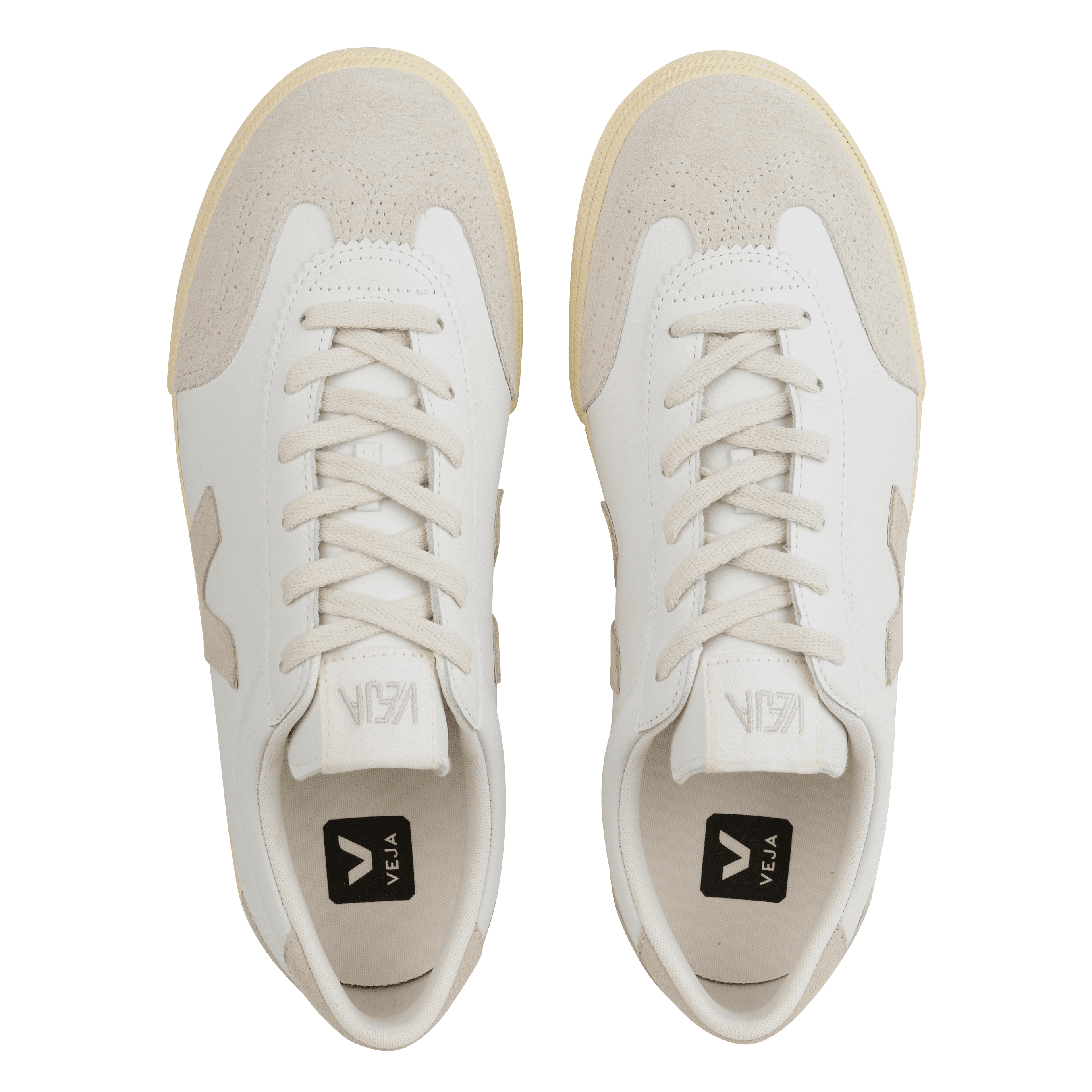VOLLEY - Baskets basses en cuir | Multicolore