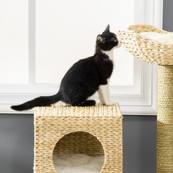 Kløestolpe 100,5H cm, kattetre med kattehule, seng, kattetrapp med sisal skrapestolper, pute, for små katter, naturlig